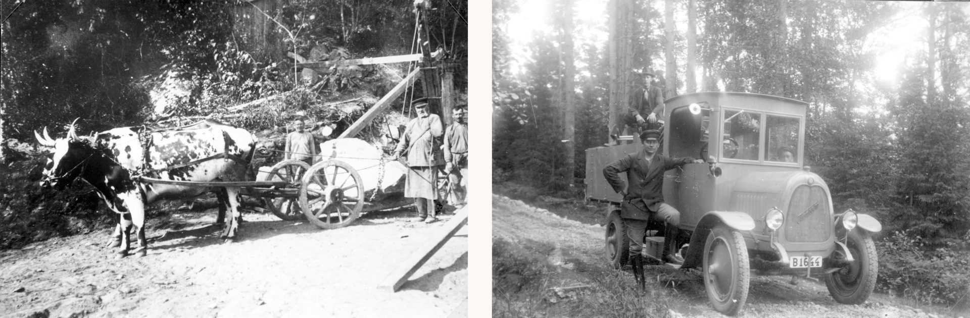 Two old black and white photos; one showing three men standing by a cart tied to an ox, the other a young man standing proudly by his lorry.