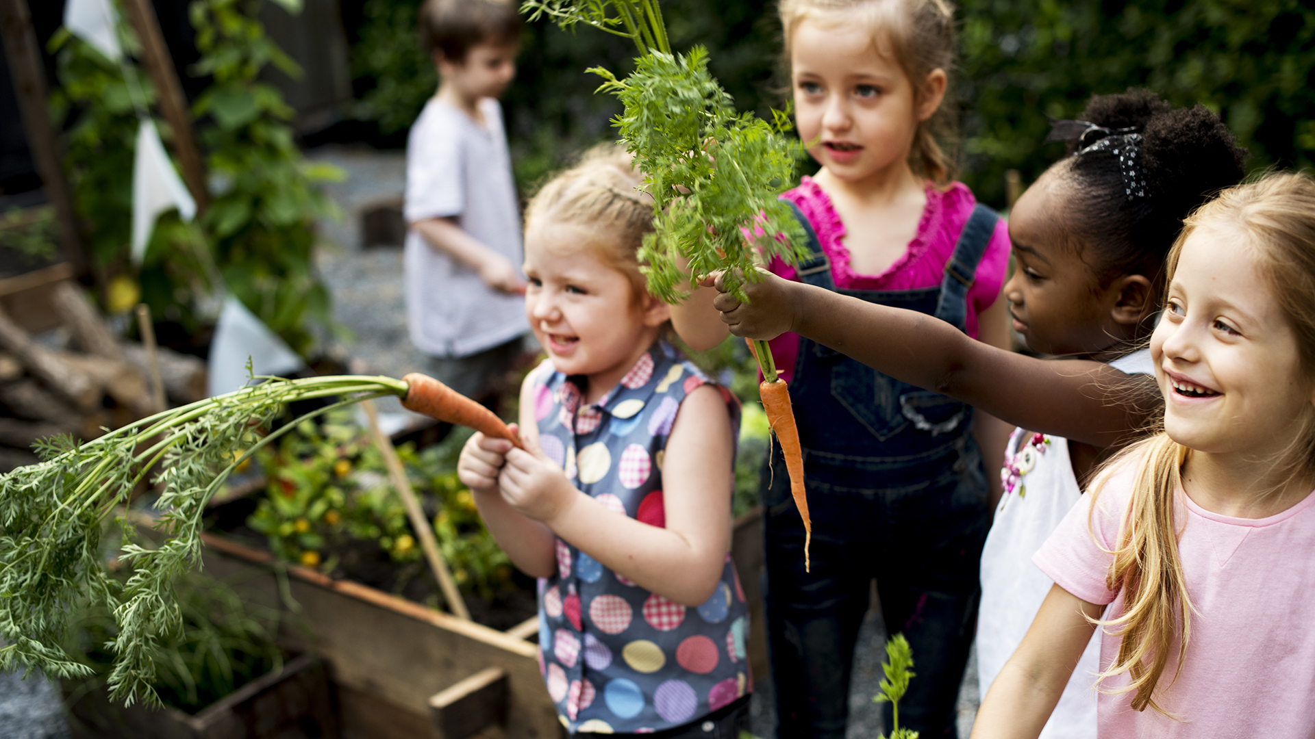 Children in a garden holding carrots