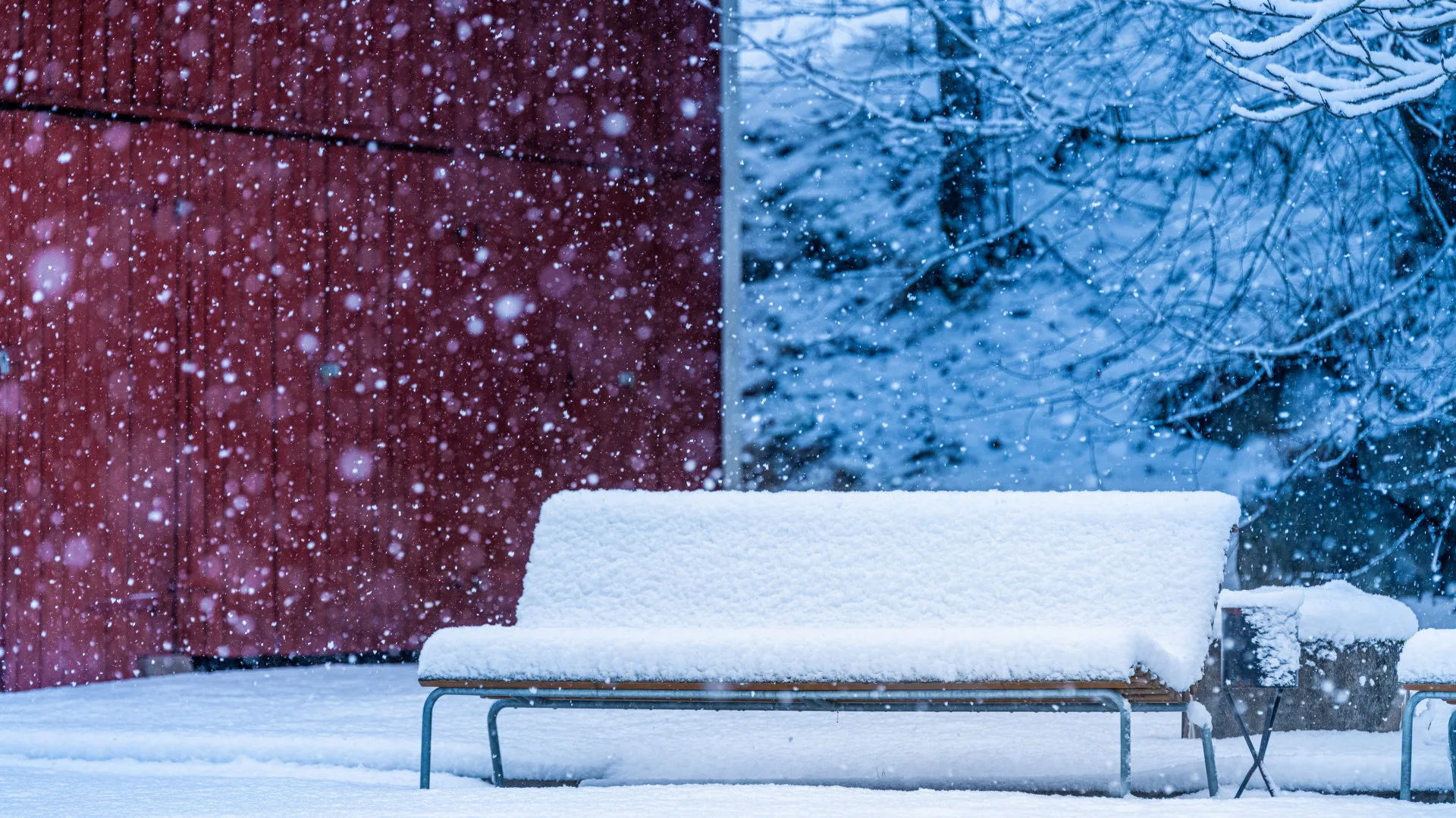 en bänk i snö
